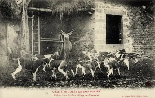 Ak Carreaux Calvados, Hallali d'un Cerf, Foret de Saint Sever