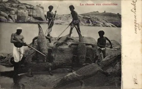 CPA La chasse aux crocodilles