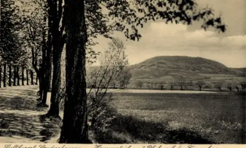 Ak Sondershausen im Kyffhäuserkreis Thüringen, Hammateich, Frauenberg