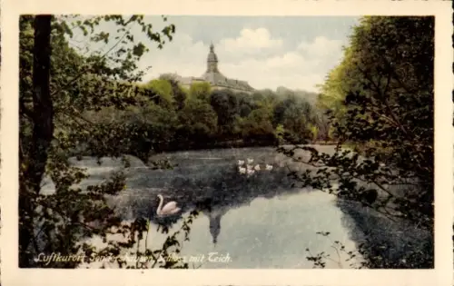 Ak Sondershausen, Schloss mit Teich, Gebäude, Schwäne