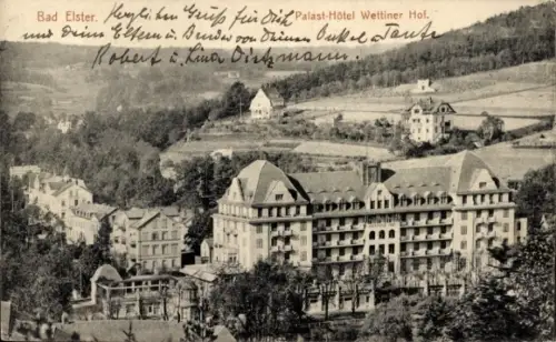 Ak Bad Elster im Vogtland, Palast-Hotel Wettiner Hof, Terrassen/Veranden, Bäume und Park, Hügel m