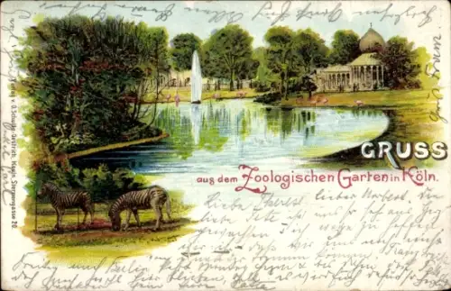 Litho Köln, Gruss aus dem Zoologischen Garten, Zebras, Springbrunnen