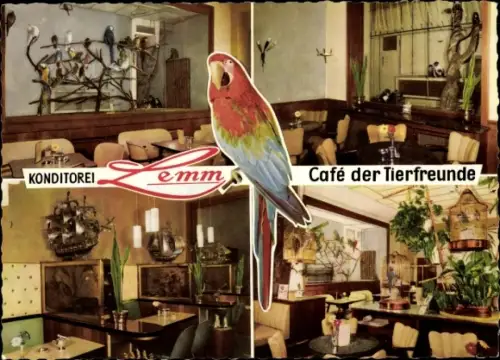 Ak Köln am Rhein, Konditorei Lemm, Café der Tierfreunde, Papagei, Auf dem Berlich 8