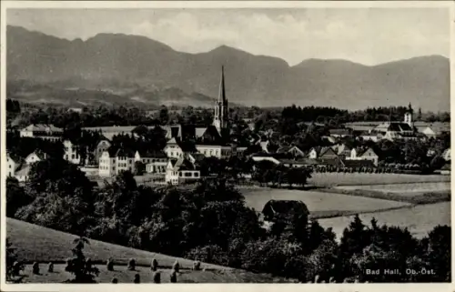 Ak Bad Hall Oberösterreich, Kirchturm und Stadtsilhouette, Wohnhäuser, Baumreihen, Felder mit Heu