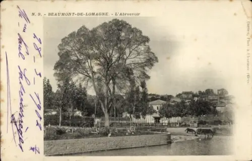 Ak Beaumont de Lomagne Tarn et Garonne, L'Abreuvoir
