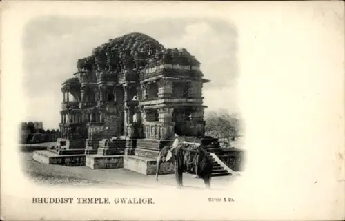 Ak Gwalior Indien, Buddhistischer Tempel, Elefant mit Begleiter, gedruckte Bildunterschrift