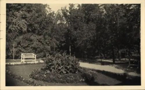 Ak Wien 18 Währing, Rundes Blumenbeet mit hohen Pflanzen, weiße Parkbänke, Fußweg, Bäume im Hinte
