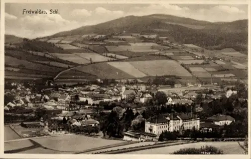 Ak Gozdnica Freiwaldau Schlesien, Gesamtansicht
