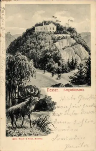 Ak Nossen in Sachsen, Bergschlößchen, Hirsch