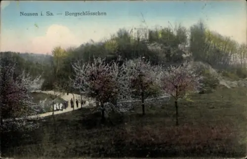 Ak Nossen in Sachsen, Bergschlösschen