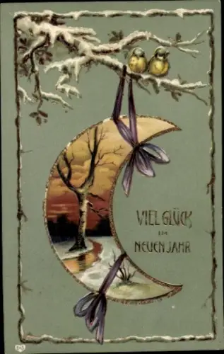 Ak Glückwunsch Neujahr, Mondsichel, Vögel