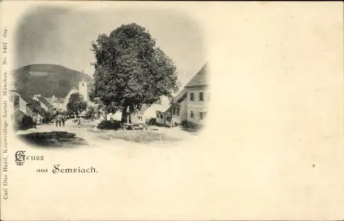 Ak Semriach Steiermark, Teilansicht mit Baum