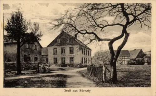 Ak Sörnzig Seelitz in Sachsen,  Gasthof