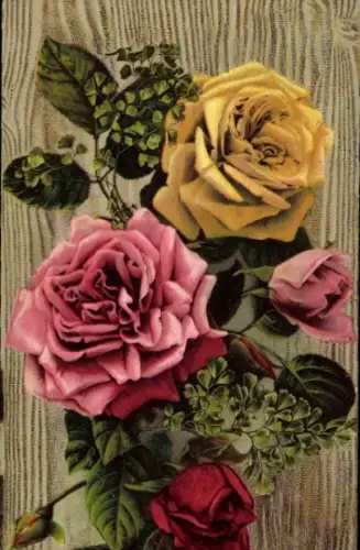 Ak Verschiedenfarbige Rosen, Blüten