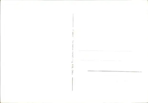 Ak Filefjell Norwegen, Hotel, Rentiere