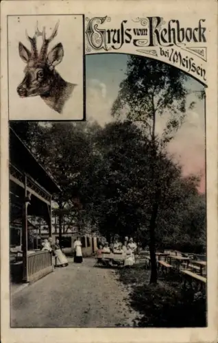 Ak Meißen an der Elbe, Gasthof Rehbock