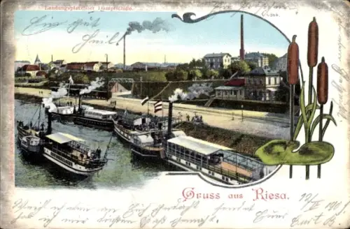 Ak Riesa an der Elbe Sachsen, Landungsplatz der Dampfschiffe, Fabrik, Rohrkolben Schilf