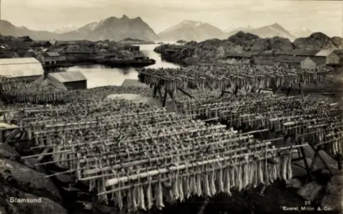 Ak Stamsund Norwegen, Gestelle mit Trockenfisch