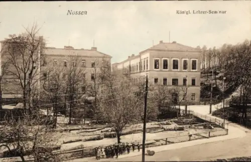 Ak Nossen in Sachsen, Königliches Lehrer-Seminar, Bäume,  Gebäude, Straßenansicht