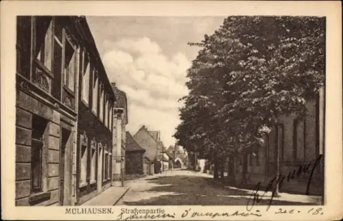 Ak Mulhouse Mülhausen Elsass Haut Rhin, Straßenansicht, Architektur, Schatten von Bäumen