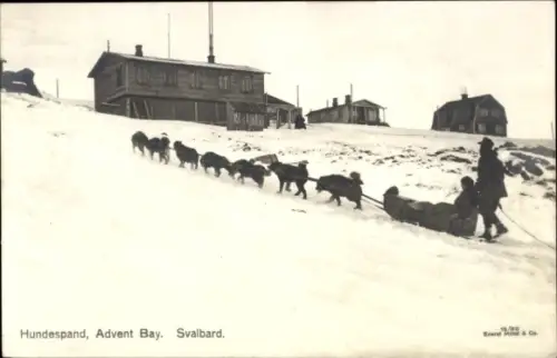 Ak Spitzbergen Norwegen, Advent Bay, Hundeschlitten