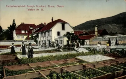 Ak Thann Elsass Haut Rhin, Gartenbaubetrieb Joseph Bruckert