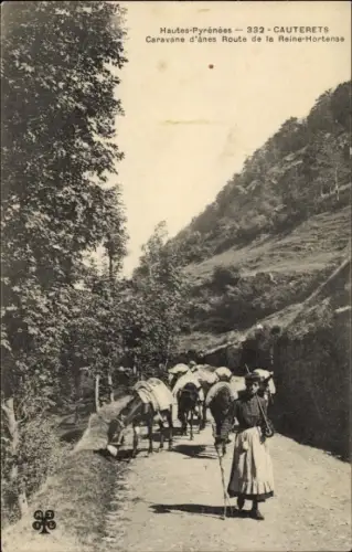 Ak Cauterets Hautes Pyrénées, Caravane d'anes Route de la Reine-Hortense