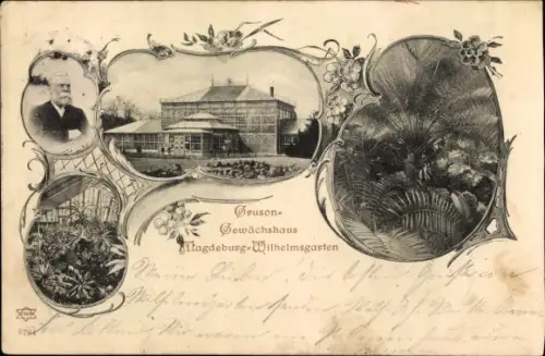 Ak Magdeburg in Sachsen Anhalt, Gewächshaus, Wilhelmsgarten