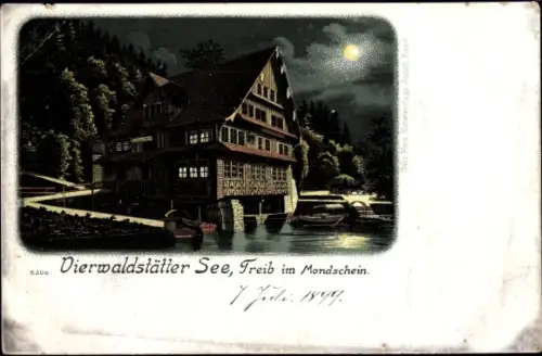 Mondschein Litho Treib Seelisberg Kanton Uri, Vierwaldstätter See bei Nacht