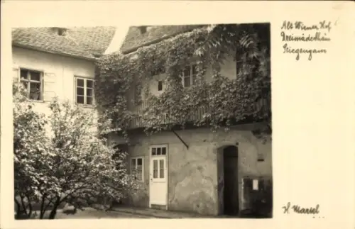 Ak Wien 1 Innere Stadt, Innenhof, efeubewachsenes zweistöckiges Haus, Eingangstür, Fenster, Baum,