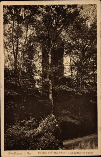 Ak Freiberg in Sachsen, Partie am Meißner Ring, Stadtmauer