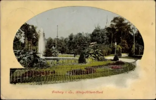 Ak Freiberg in Sachsen, König Albert Park