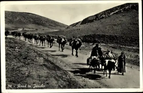 Ak Jericho Palästina, Road to Jericho, Karawane, Eselsreiter, Kamele