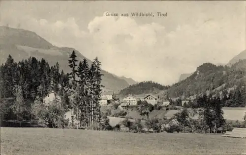 Ak Wildbichl Tirol, Totalansicht, Ortschaft, Wälder, Gebirge
