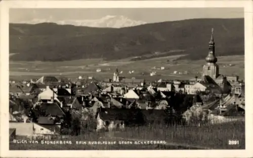Ak Baden bei Wien Niederösterreich, Blick vom Badnerberg beim Rudolfshof