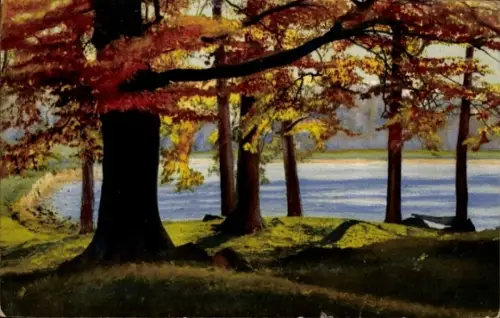 Ak Photochromie, Nenke und Ostermaier 253 4012, Herbstwald