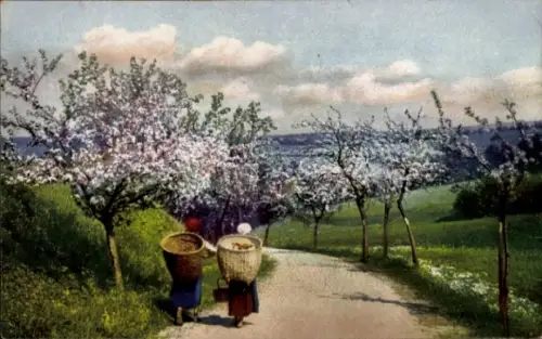 Ak Baumblüte, Bäuerinnen