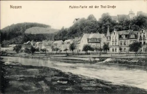 Ak Nossen in Sachsen, Muldenblick mit der Thal Straße