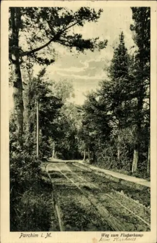 Ak Parchim in Mecklenburg, Weg zum Fischerkamp