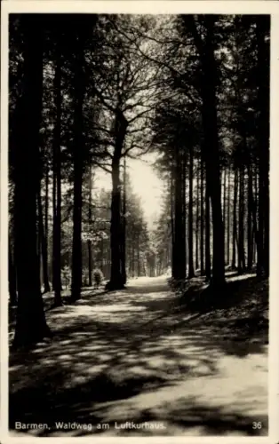 Ak Wuppertal Barmen in Nordrhein Westfalen, Waldweg am Luftkurhaus