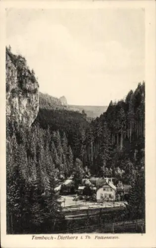 Ak Tambach Dietharz in Thüringen, Falkenstein