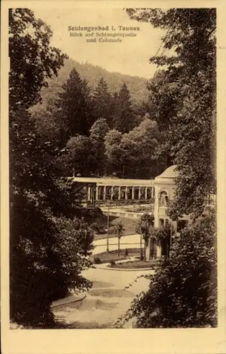 Ak Schlangenbad im Taunus, Schlangenquelle und Kolonade