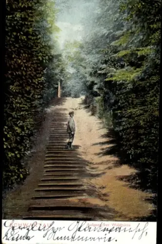 Ak Bad Schwartau in Holstein, Aufgang zur Waldhütte