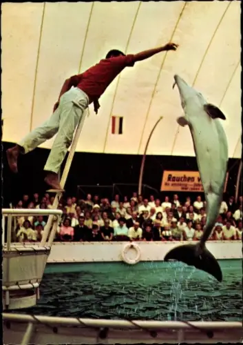 Ak Duisburg im Ruhrgebiet, Tierpark, Delphin-Schau, Zuschauer