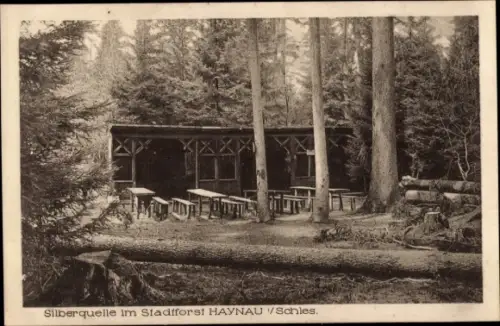 Ak Chojnów Haynau Schlesien, Gasthaus zur Silberquelle, Stadtforst