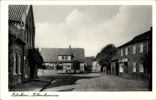 Ak Bücken in Niedersachsen, Blankensee, Straßenpartie