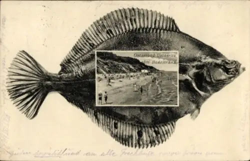 Schollen Passepartout Ak Ostseebad Ueckeritz Ückeritz auf Usedom, Badestrand