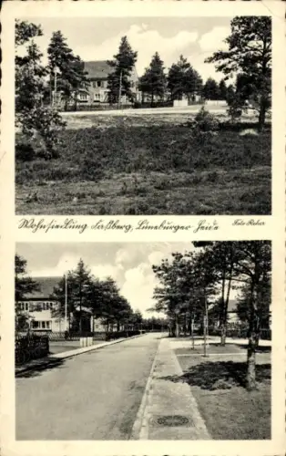 Ak Faßberg Lüneburger Heide, Straßenansicht