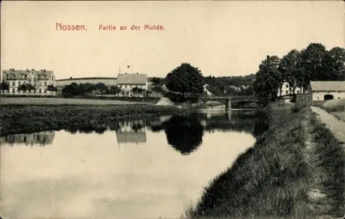 Ak Nossen in Sachsen, Muldeblick