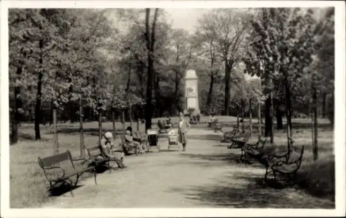Ak Nový Bohumín Neu Oderberg Region Mährisch Schlesien, Stadtpark